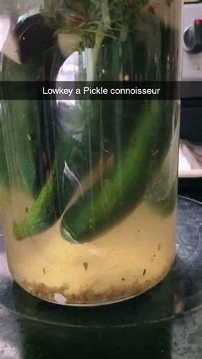 #Daytwo of #pickle #fermenting starting to get #cloudy #homebrew #pickles #fresh #homemade #food #ya