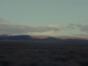 chelsea cutler on Instagram: "Stellaria: Friday, October 13"