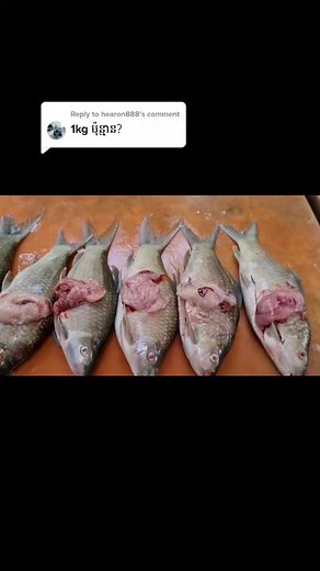 ត្រីទន្លេខេត្តស្ទឹងត្រែង នៅលើ TikTok