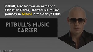 Pitbull Net Worth How He Built His 100 Million Empire