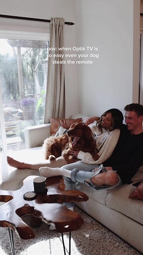 When the TV’s so easy even Fino knows how to use it 😂 @telus has simplified the whole entertainment experience with the new Optik TV. Gone are the days of multiple remotes - you can access all your shows, streaming platforms, Live TV, sports & everything else in 1 place, with 1 remote & 1 input. It’s a great price too at only $38/month for Netflix and Live TV. Anyone else’s pup love to watch TV? 🫶🏼 [Conditions apply. Available to BC and Alberta. #Telus_Partner] #movienight #tvshows #tvnight #