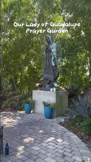 Ave Maria University Hidden Gems Tour: The Most Beautiful Spots on Campus
