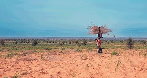 The Natural Resource Degradation and Vulnerability Nexus - An Evaluation of the World Bank’s Support for Sustainable and Inclusive Natural Resource Management (2009–2019)