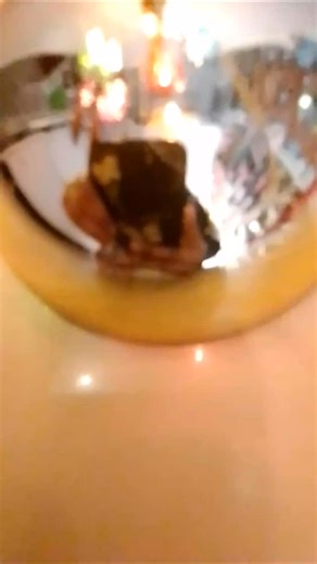 Dreamz World Gifts on Instagram: "Fancy led light Tree for side table 🎄🎄 #housedesign #decorationideas #giftideas #viral #explorepage"