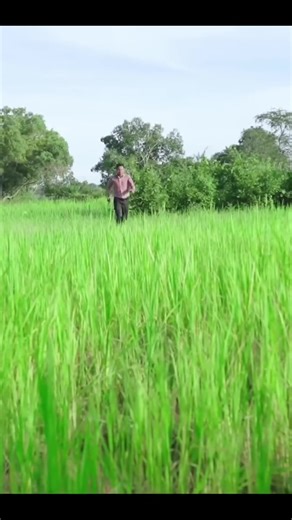 រឿងគំនុំស្នេហ៍ចាស់ ភាគបញ្ចប់