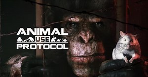 Animal Use Protocol, a survival-horror game where a chimpanzee has to leave a horrific laboratory, is announced