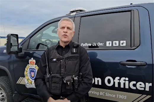 UPDATE: Three school children, 1 adult injured in Bella Coola grizzly bear attack - Northern Sentinel