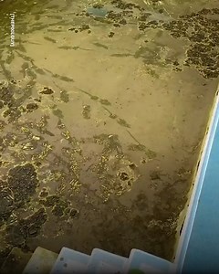 57K views · 64 reactions | This lad's job cleaning and hoovering out filthy pools looks seriously satisfying  | Do It Yourself | Facebook