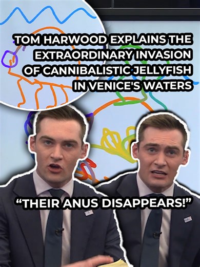 Welcome to GB News' Marine Biology Corner as Tom Harwood explains the extraordinary invasion of cannibalistic jellyfish occurring in Venice's waters. Scientists warn that this situation is threatening fish stocks and wreaking havoc across the lagoon ecosystem. #GBNews