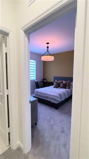 This Zebra Shade Transformed the Entire Home 😮