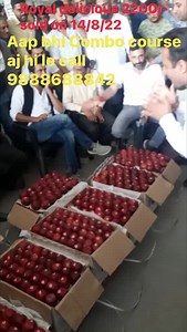 31K views · 405 reactions | KHETYARI app pr Combo course aaj hi le. Desh ka pehla Bagwani ka course jisse 2000 se zyada bagwan apne purane bageeche main quality seb  paida kr rahe hain. Adhik janakari ke liye call Karen +91 98886 88842 app aj hi download karen | Jittu Chauhan Orchardist | Facebook