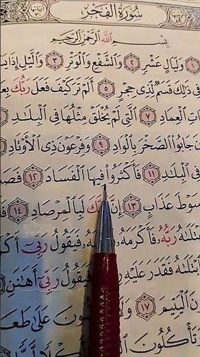 سورة الفجر الشيخ ماهر المعيقلي 🤎📜