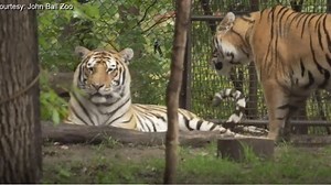 West Michigan zoos change procedures due to COVID-19 threat