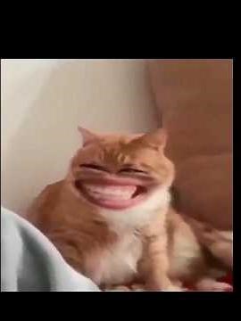 free fire ghost id🥶 #shorts #freefire