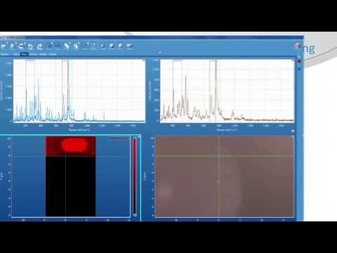 LabRAM HR Evolution: The Ultimate Instrument for Raman Spectroscopy
