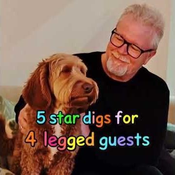 Waggy Tail Cottage near Cupar, Fife. Home Dog Boarding done right. Look for Grant J on Rover.Com app