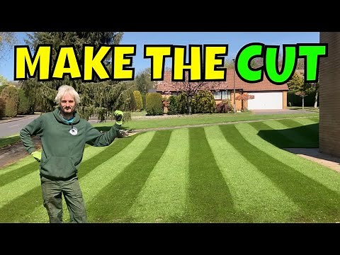 Cutting NEW GRASS for the FIRST Time // First cut is the deepest