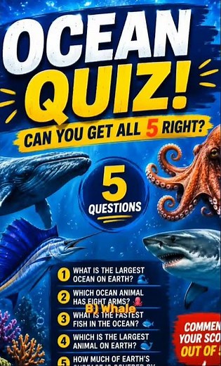 Ocean Quiz 🌊 Can You Get All 5 Questions Right? 🤔🐋