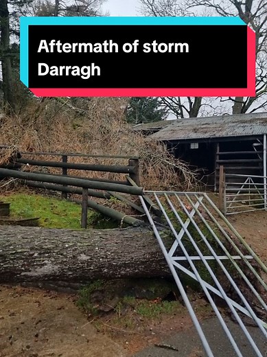 Absolutely gutted by the aftermath of storm Darragh and the damage it has caused #horse #horses #foal #foals #yard #damage #trees #trekkingcentre #horseadventures #horseriding #horsebackriding #horsetrekking #ponytrekking #wales #southwales #breconbeaconsnationalpark #thegrangeequestriancenter #thegrangeponytrekkingcentre #fyp #help
