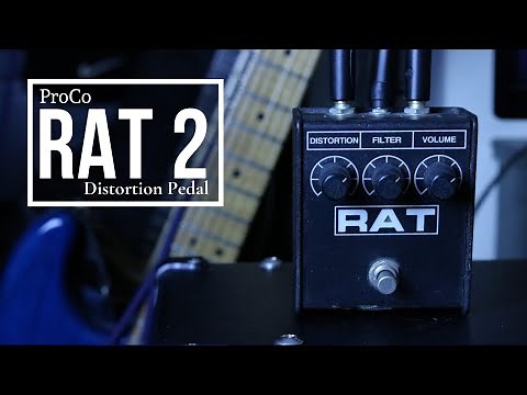 Get Legendary Distorted Tones w/ This Pedal! | ProCo Rat 2 Demo