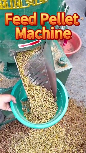 Feed Pellet Machine Working Video | Fast, Efficient & Profitable#livestockfeed #cattlefeed #farming