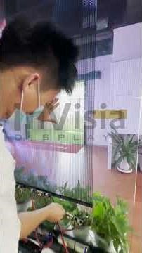 How to Install Transparent LED Display on Glass Step by Step Guide