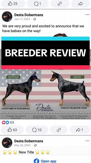 Evaluating Desta Doberman Breeder for Your Next Pet