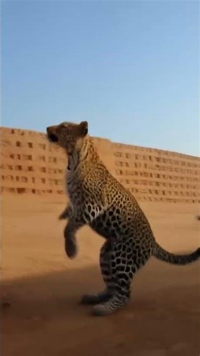 #whow#illbemy#lifepartnerta#