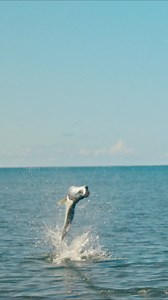 21 shares | Omni-Freeze™ Zero sweat activated cooling: The hotter it gets on the water the cooler you feel. Go fish. | Columbia Sportswear | Facebook