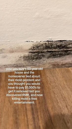 Combining RMR-86 and RMR-141 makes mold killing free entertainment, but it's important to remember that only RMR-141 truly kills mold 👀 Click the link in our bio or visit rmrsolutions.com to grab your RMR products now ☝🏼 ⁠ #rmr #rmrsolutions #mold #moldremoval #moldremediation #homecleaning | RMR Solutions, LLC