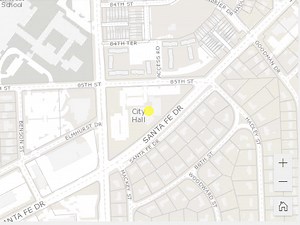 Experience Builder Search Widget has two drop-downs, possible glitch?