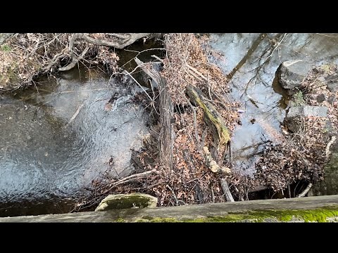 massive culvert unclogging. log jam. 1/29/23