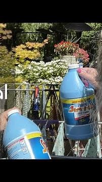 Liquid Starch Tutorial: Bella Rose Quilts