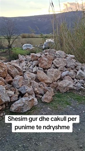 Djemte E Shales (@nimozoteorashales)’s videos with originalljud - fatmir__syla