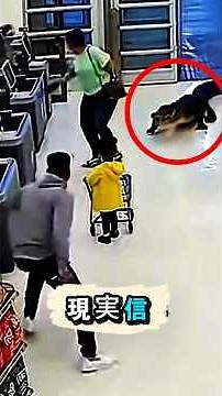 😱 TOP 7 Unbelievable Moments! Animal Footage That Seems Unreal