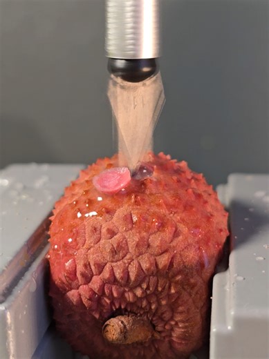 Guess the Fruit: A Fun ASMR Challenge