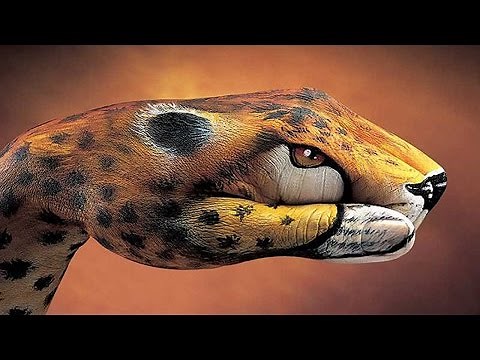 30 Most Amazing Animals Painted On Hands | Animals Painted On Hands