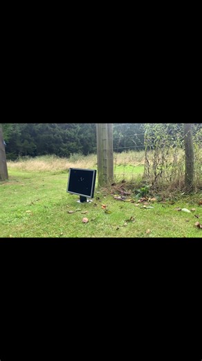 Shooting PC Monitor 💥🖥️ #shorts #shooting #airgunshooting #airrifleshooting #pcmonitor #pc
