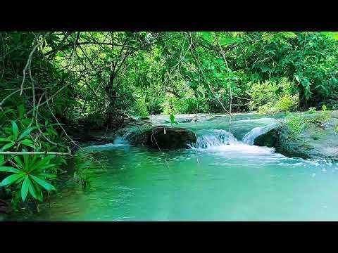 Cascading Waterfall Sound for Sleep | 12 Hours