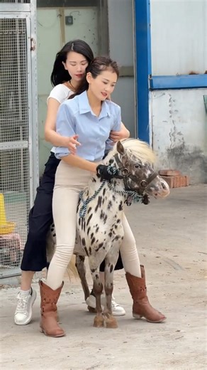 Can a Pony Carry Two Farmers? Strength Test 🐴 👀