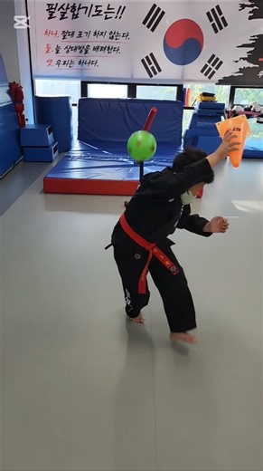 🔄 튕기고 돌아서 받기 가능할까? Bounce, Spin, and Catch Challenge​#BallCatch #Agility #Reaction #Challenge #Spin