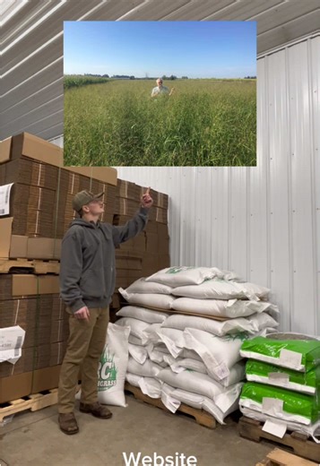 Our Website is now Live! Go check it out and grab some RC Switchgrass before its gone!#springplanting #tntseedcompany #minnesota #fyp #foodplotseed #switchgrass #hunting #deerhunting #nativegrass #beddingarea #CapCut