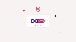 DQ Pro - API Explainer