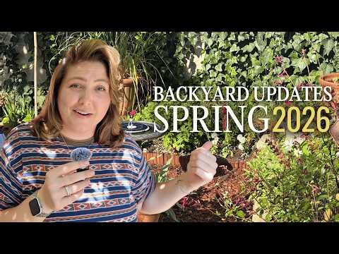 I Transformed My Basic Rental Backyard Into a Private Oasis!