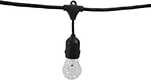 String Light Company Vintage 48-Ft Outdoor Commercial String Lights with 15 Suspended Sockets and 15 Clear S14 Bulbs, 14 Gauge Black Cord
