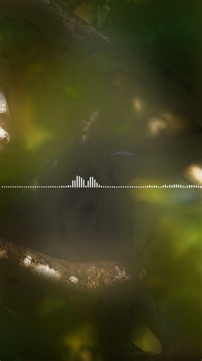 5K views · 46 reactions | “Hook hook hook-ooo....” Can you guess who...