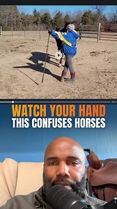 Good horsemanship lives in the details. This is the kind of feedback I give my students — slowing things down, adjusting positioning, and helping the horse find clarity instead of pressure. When the horse understands, the resistance disappears. 🤔 Have a training question you’d like help with? Leave it in the comments — we’re happy to help where we can. #SteadyHorse #NoahTY #UnbreakableBond #HorseTrainingEducation #GroundworkSkills #HorseConfidence | Steady Horse