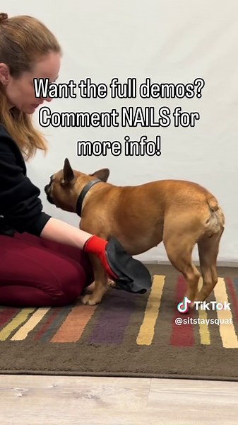 3 Ways to Safely File Your Dog's Nails