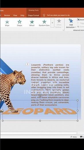 How to Make a PowerPoint Presentation Interesting (Animation Process)