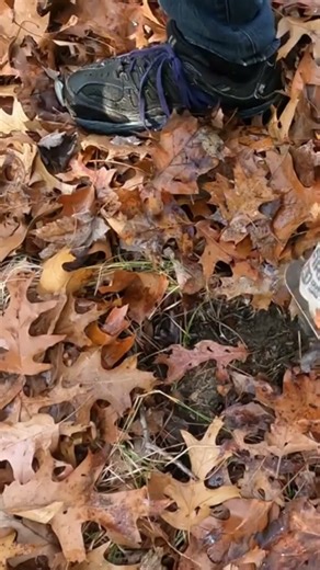 Short #218 - Hot find, metal detecting with the Nokta Makro Simplex #metaldetecting